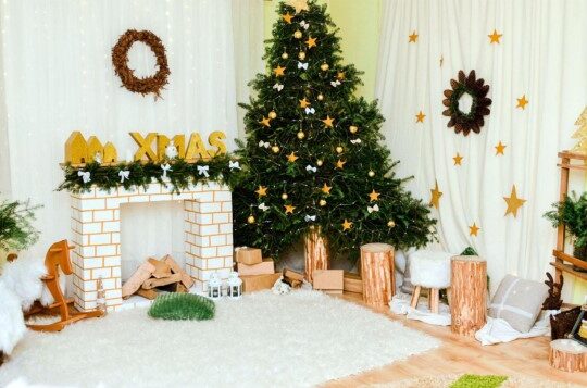 The King of Christmas Trees: Beauty and Memories