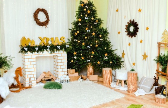 The King of Christmas Trees: Beauty and Memories