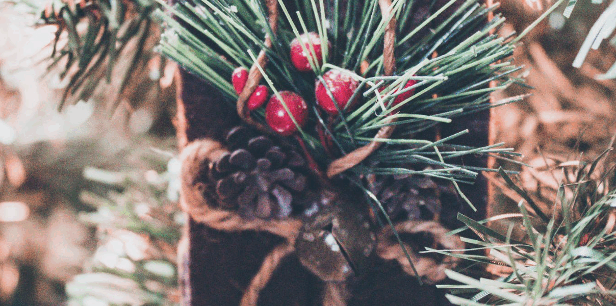 Flocked Christmas Trees: Beauty, Tradition & Acts of Kindness