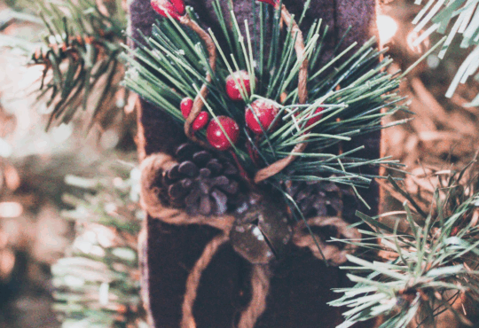 Flocked Christmas Trees: Beauty, Tradition & Acts of Kindness